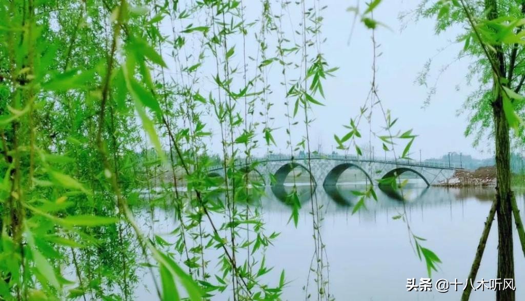 读大学做到这几点，大学时光将会成为你最美的青春记忆