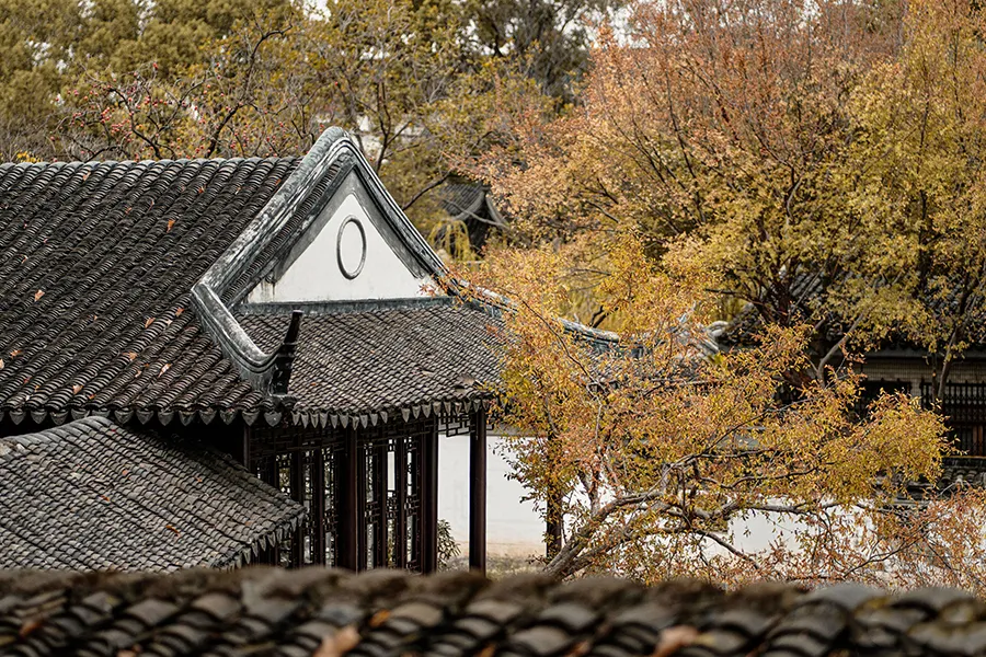 今日秋分:清景难逢,一切都爽朗起来