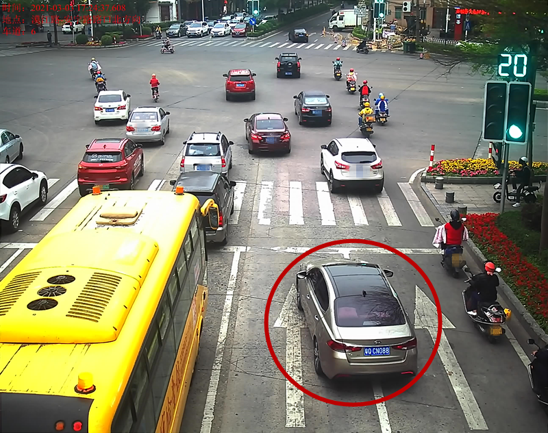 交通违法曝光！