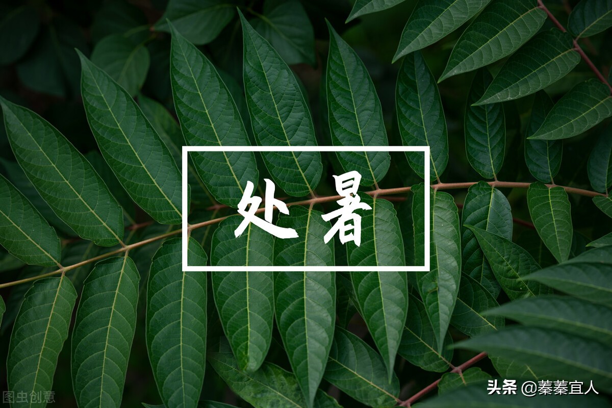 爷爷为2年级数学题，求助教育局，背后藏着你不知道的教育学秘密