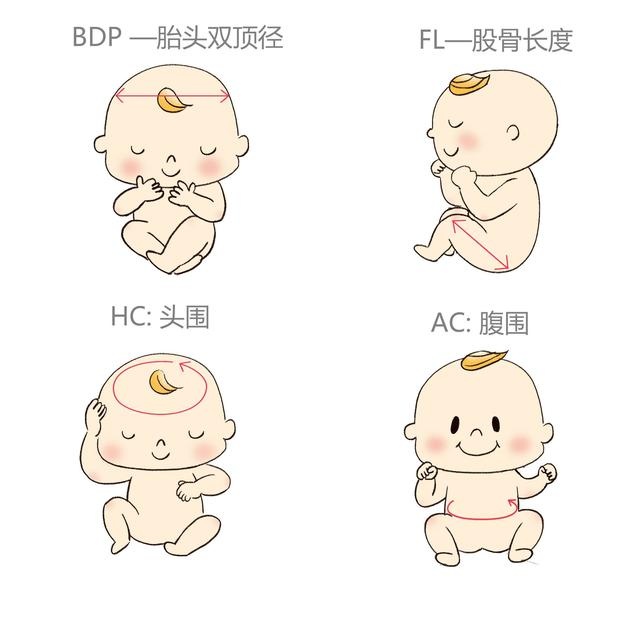 孕期做四维检查，了解这些指标，不用求医生，自己看胎儿是否健康