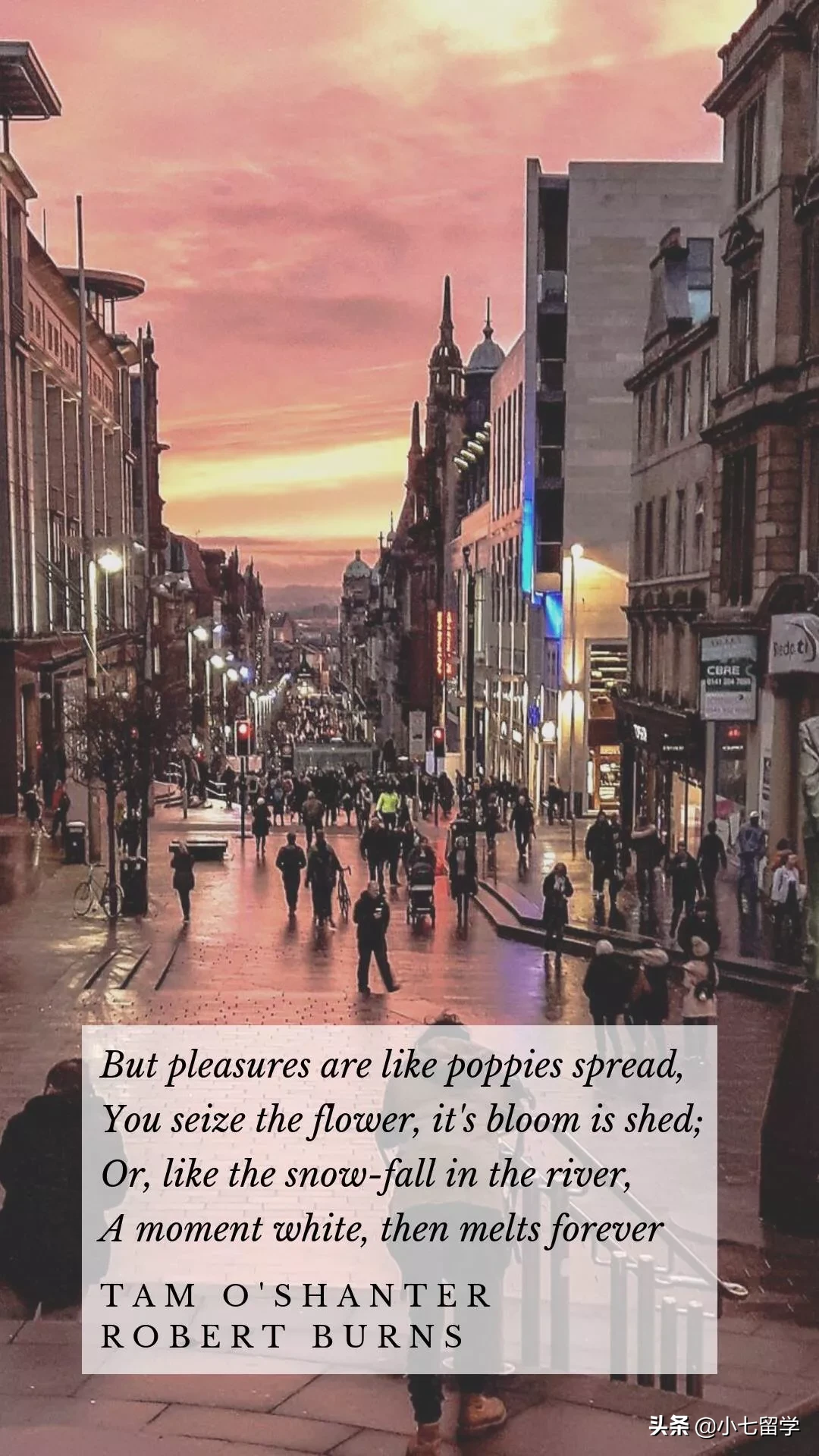 英国留学篇——QS世界大学五星级大学思克莱德大学