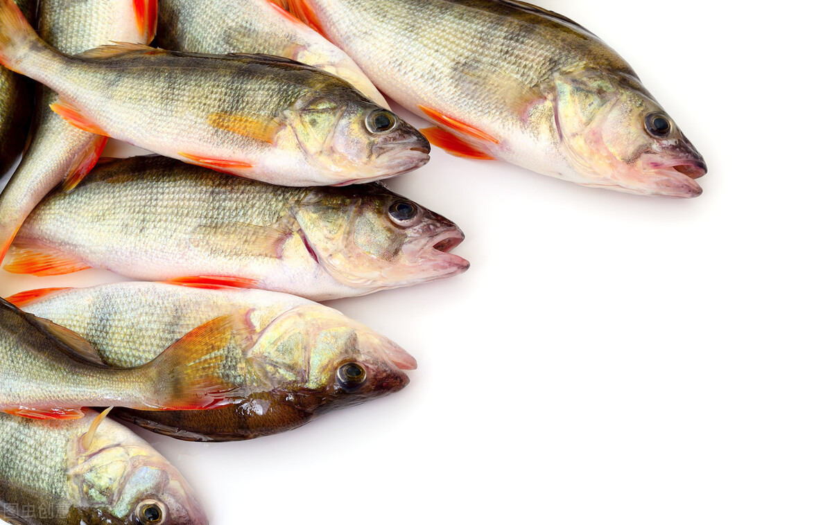 鱼价"塌陷",黄骨鱼跌3元,草鱼跌至6元,牛蛙跌8元,发生了啥