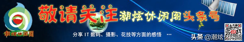 win10清理注册表（初步认识Windows10操作系统注册表）
