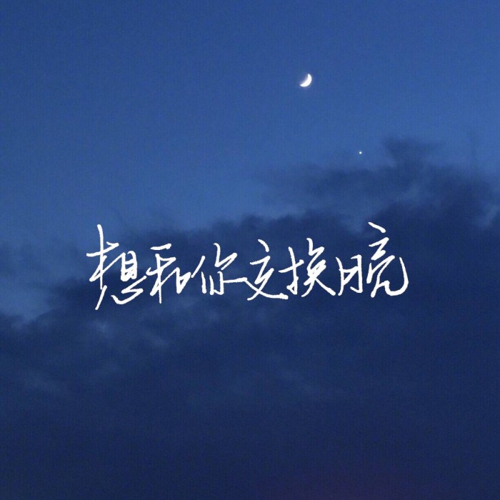 我一生都在漂泊，前半生是为了遇见你，后半生是为了忘记你