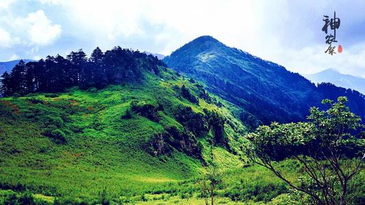 神农架深处为什么进不去?野人一直都存在争议