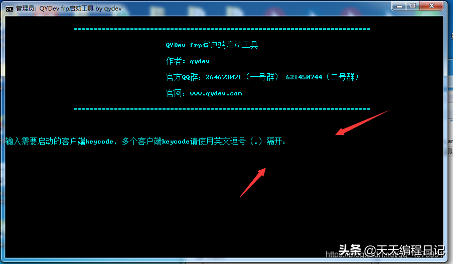 四种永久免费傻瓜式 内网穿透工具 教你部署内网服务器