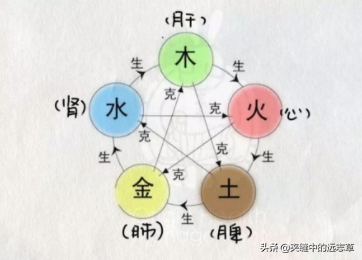 糖尿病，消渴症？送你六味中药，滋阴降火，健脾益胃，还可解毒