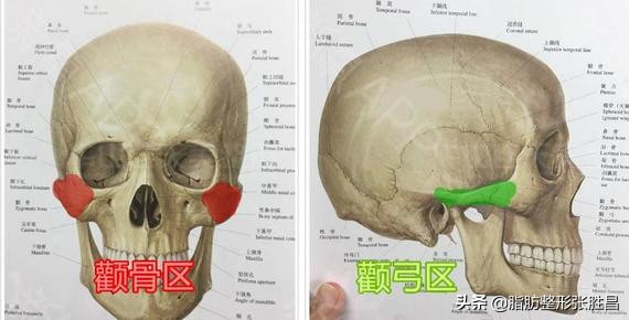 脸蛋显凶，被人说刻薄？颧骨突出：一个影响你后天颜值的先天因素