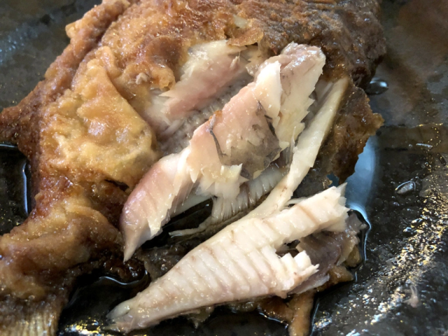 食人鱼能吃吗,