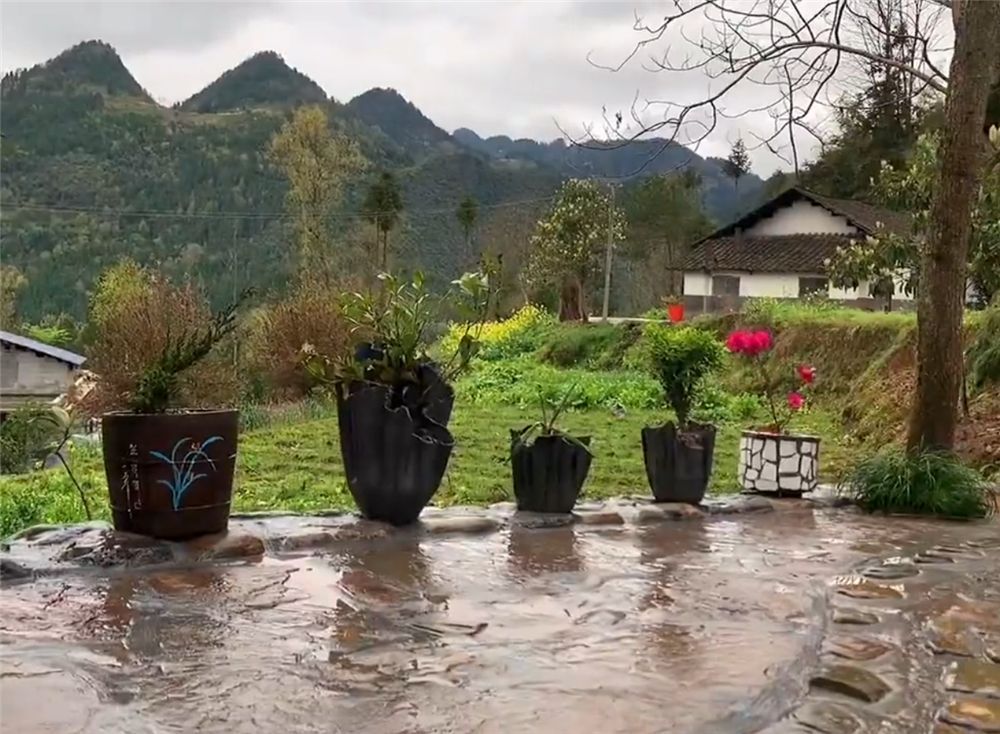 他改造荒废23年的农村小院，将废旧院子变成世外桃园，网友：向往