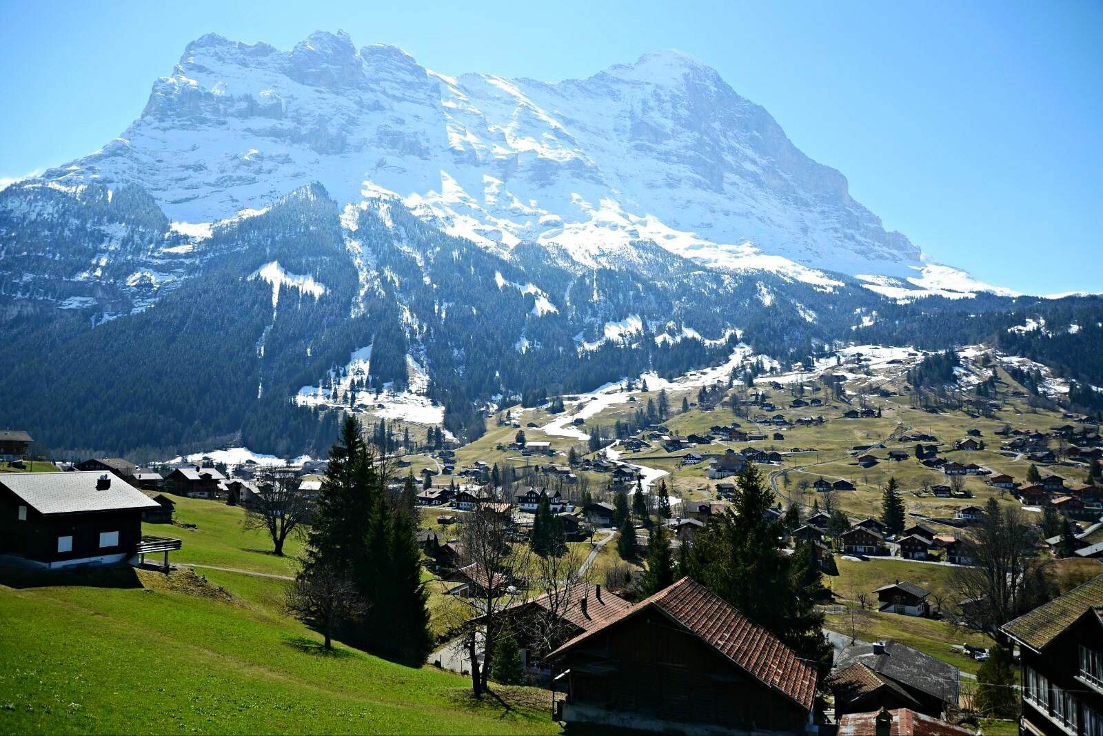 漫游瑞士,寻访夏季的阿尔卑斯山美景