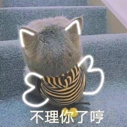 猫咪表情包合集｜你都没有胸，凶什么凶