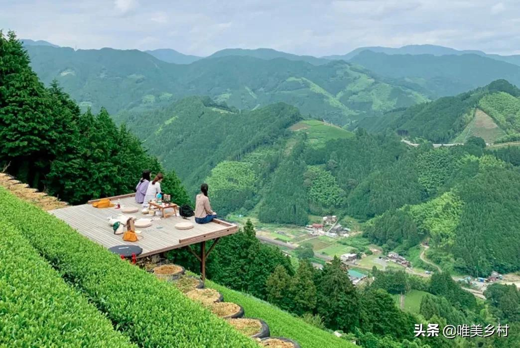 中国哪里产的绿茶最好？4大茶区、8大省份、5大产地更好喝