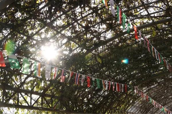 西安外国语大学，是由什么做成的？