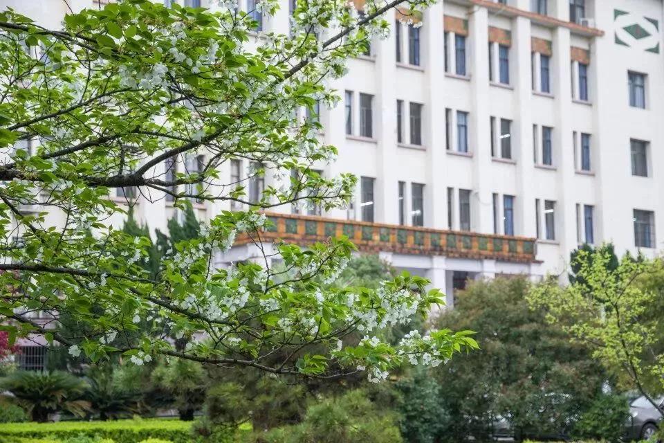 湖南这所高校：占地近3000亩，教育部副部长构想校名，更获央视频频聚焦！