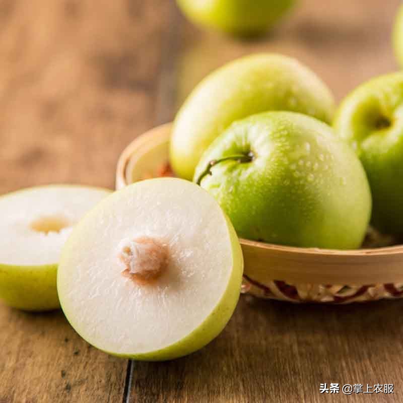 这种长得像苹果的枣，其实是青枣
