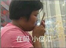 问对方在不在的表情包合集｜我的小宝贝在吗