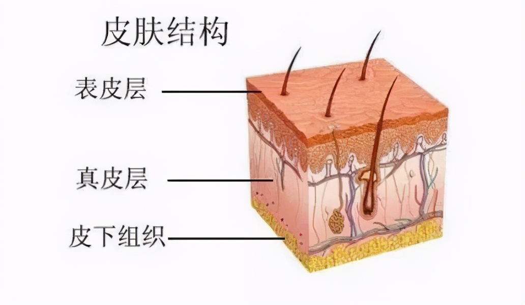 火出圈的“水光针”市场乱象不止：到底是“美容利器”还是毁容？