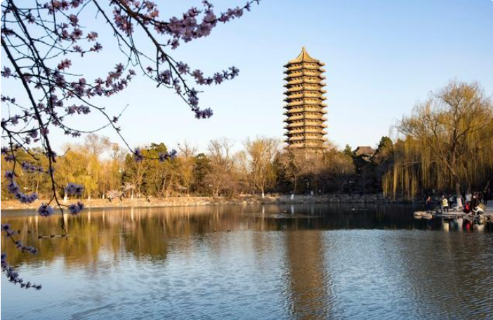 国内高校竟然还有“外号”？清华自称职业学院，网友：北大也有