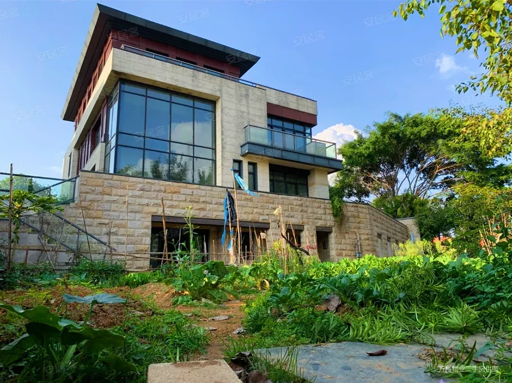 东莞十大豪宅曝光了：最高12万/㎡，总价超5000万...