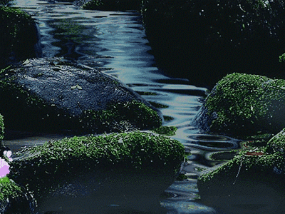 快来向水学习！