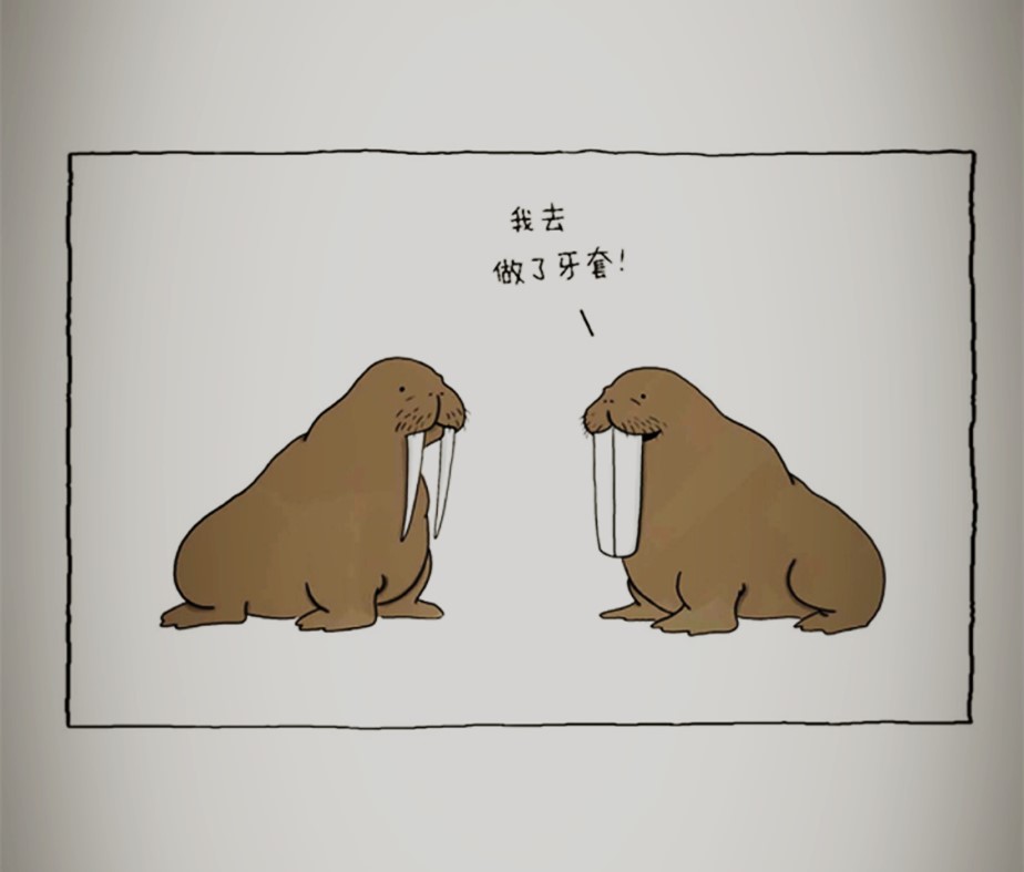 《你今天真好看》丨让大象、兔子、乌龟、蛇治愈你的不开心