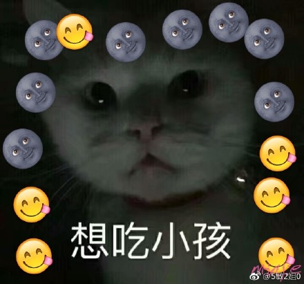 猫咪表情包：要做大哥的女人吗