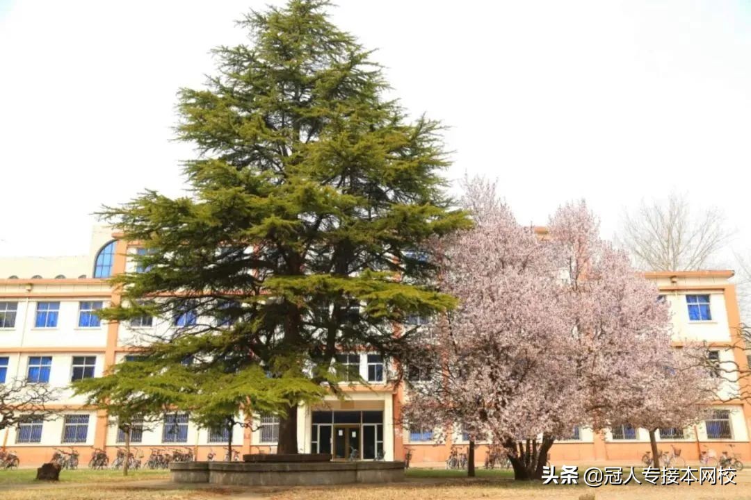 廊坊师范学院：绵绵师范文脉，七秩教师摇篮