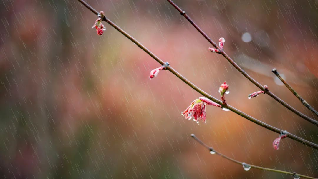 形容下雨的诗句唯美(最适合发朋友圈的30句诗词)