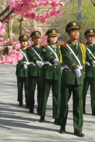 河北专接本院校介绍 | 保定理工学院