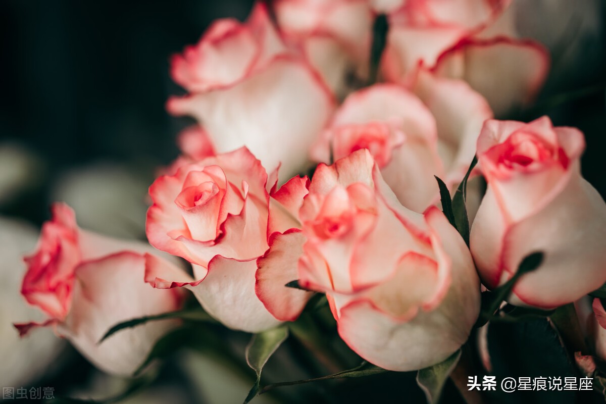 处女座无法放手的星座是谁？