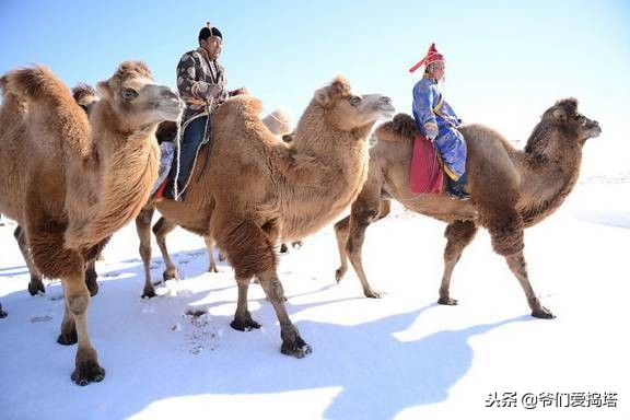 红墙，白雪，琉璃瓦，大雪压青松