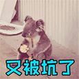 功蜂舒适家 | 前置过滤器到底是不是智商税？不懂千万不要乱买