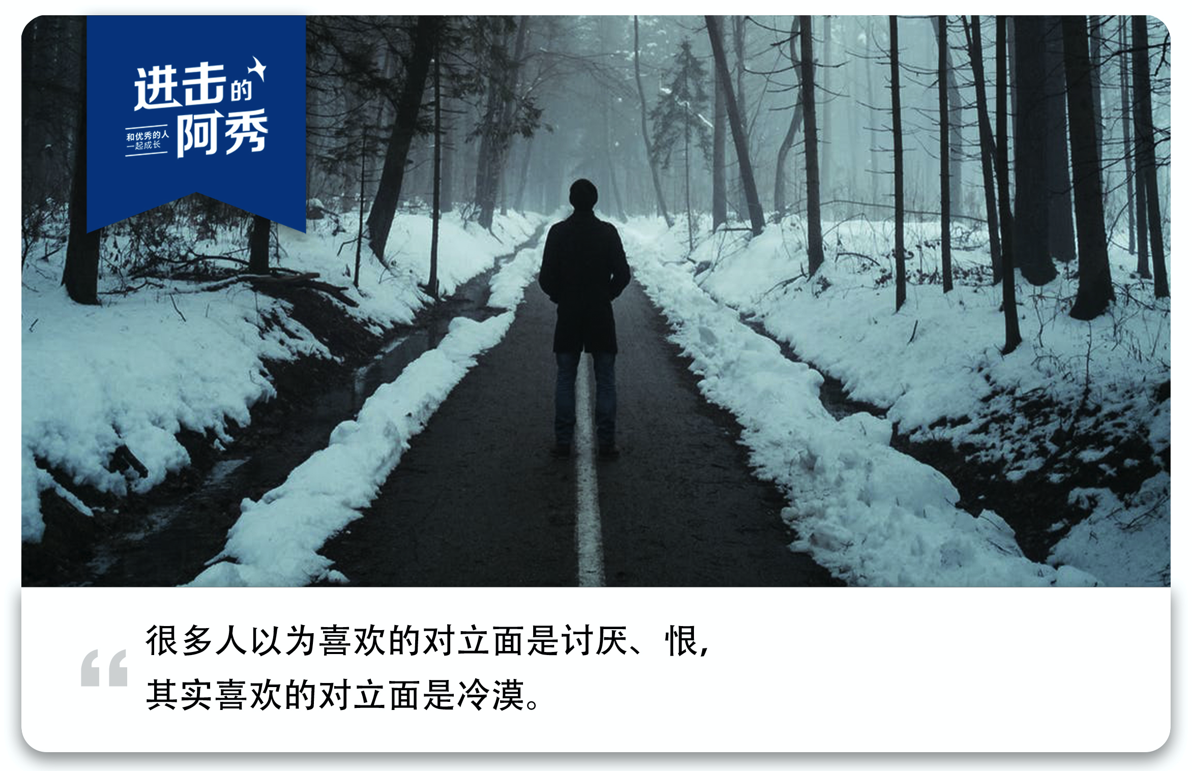 2019 年，我曾在朋友圈里说过的那些胡言乱语