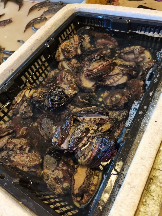 鲍鱼炖汤的美味做法与营养搭配指南