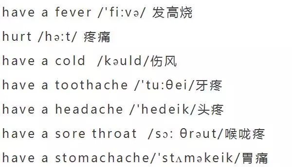 小学英语单词分类大全（附音标）