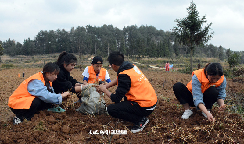 聚力乡村振兴！贵州城市职业学院组织48名青年大学生开展“校帮村”帮扶活动