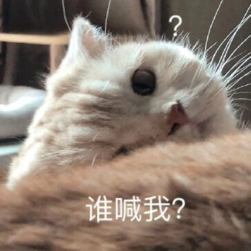 表情包：喝杯奶茶冷静一下