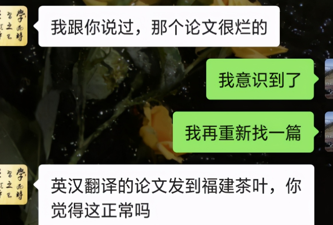 不同专业毕业论文“查重”，法学专业法条标红，会计专业也不好过
