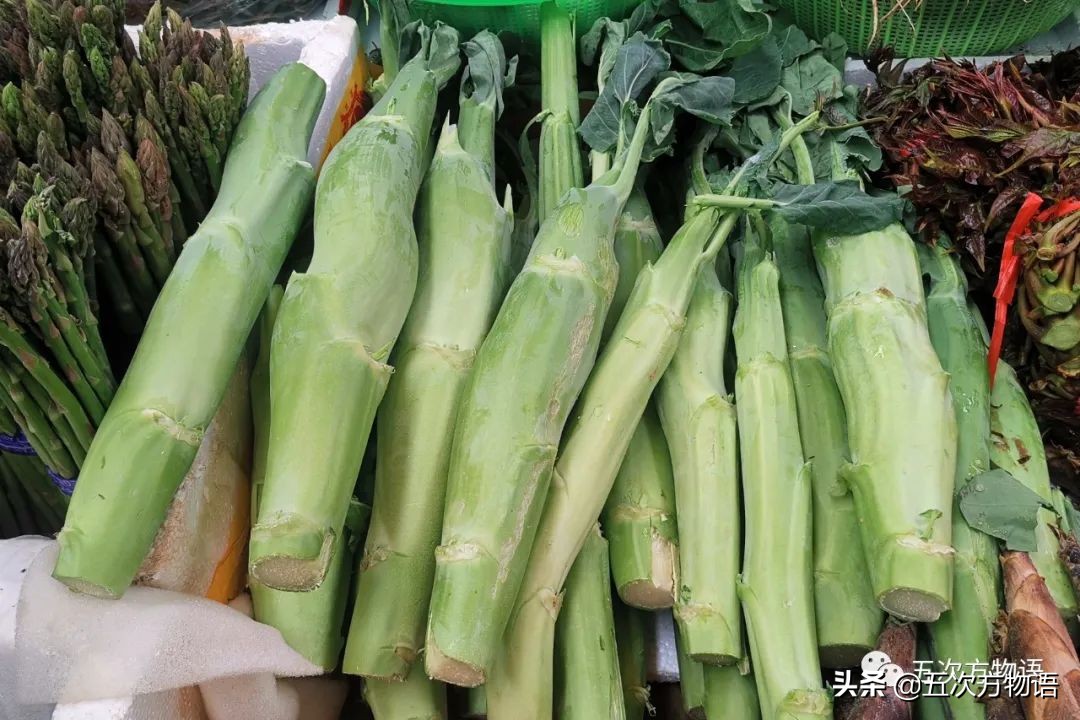 漫谈起源于中国的蔬菜