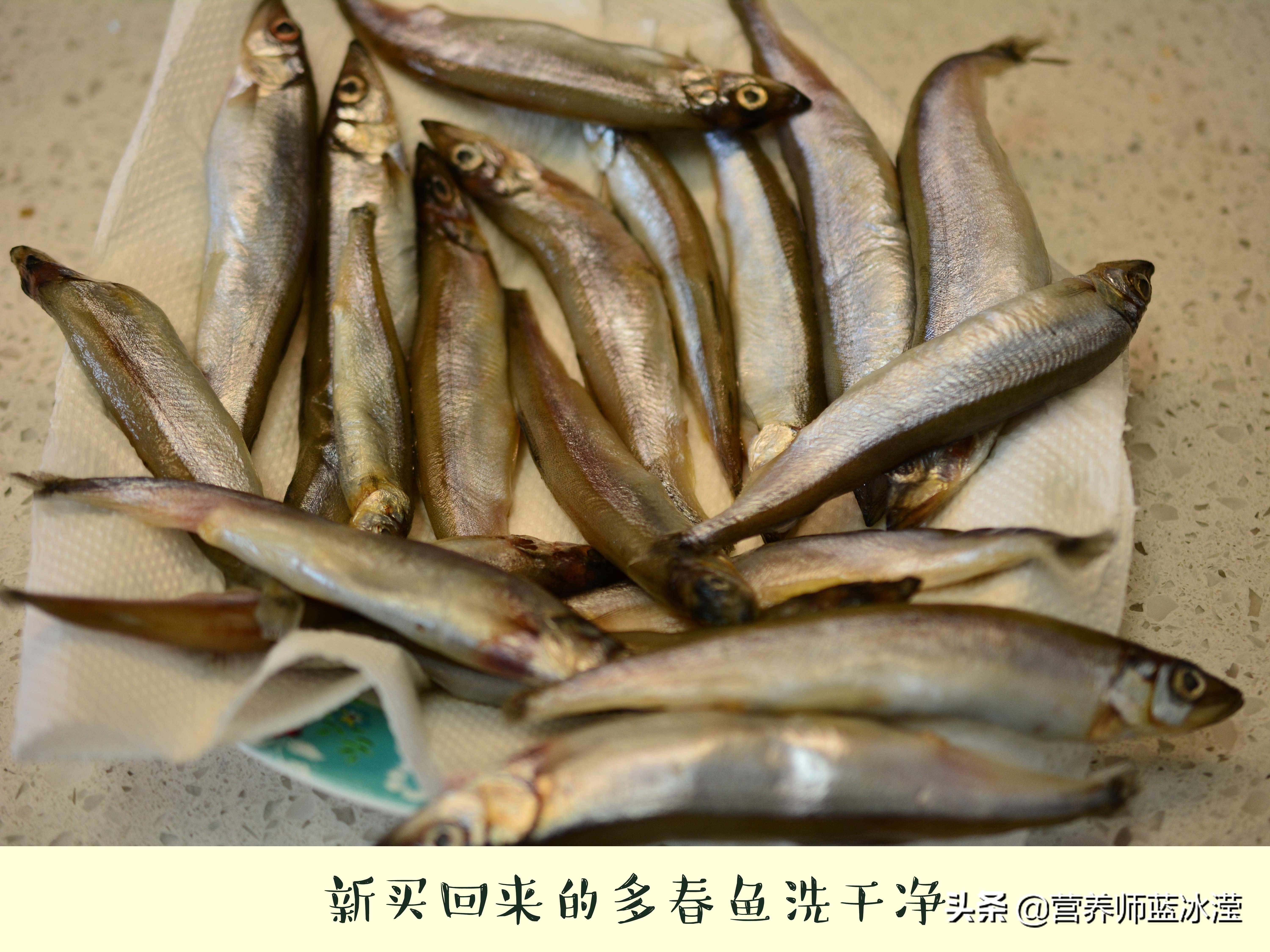 多春魚產地,多春魚產地是哪里的