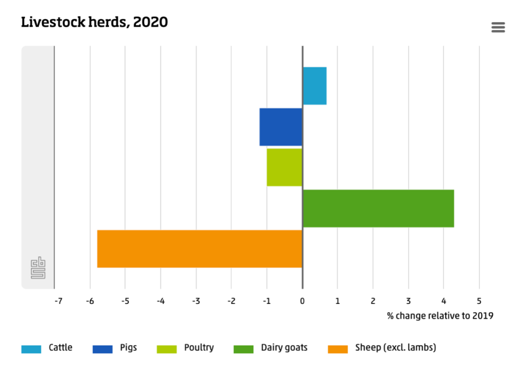 原来，荷兰是个猪猪天堂