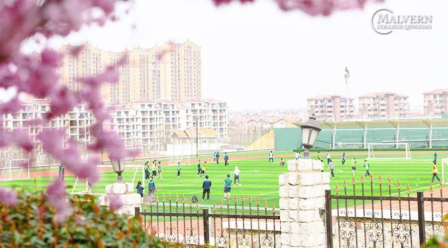 山东青岛岛城最美的4所国际学校，你最想送孩子去哪个？