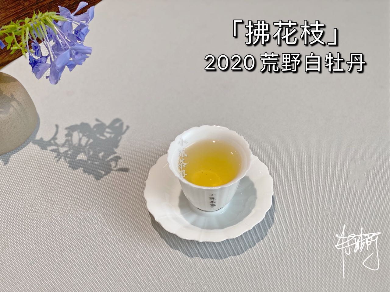老丛水仙、古树白茶、老树绿茶，泛滥的老丛茶市场，哪些才是真？