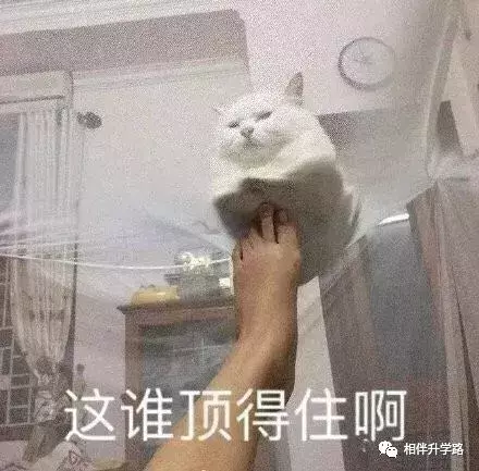 上海这10个神级学校，由这些传奇老校长打造！你想为谁打CALL?