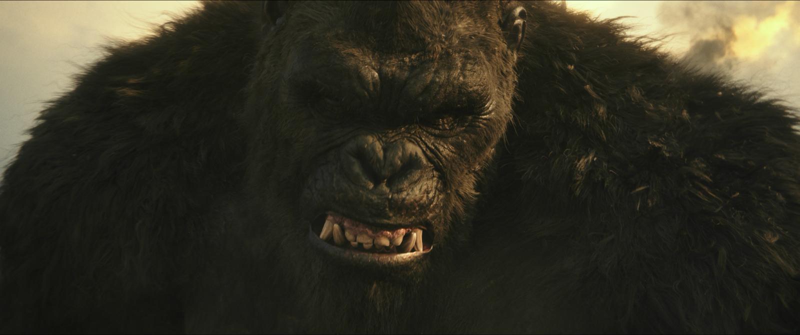 《哥斯拉大战金刚》的"觉悟",能让多少好莱坞大片"脸红"?