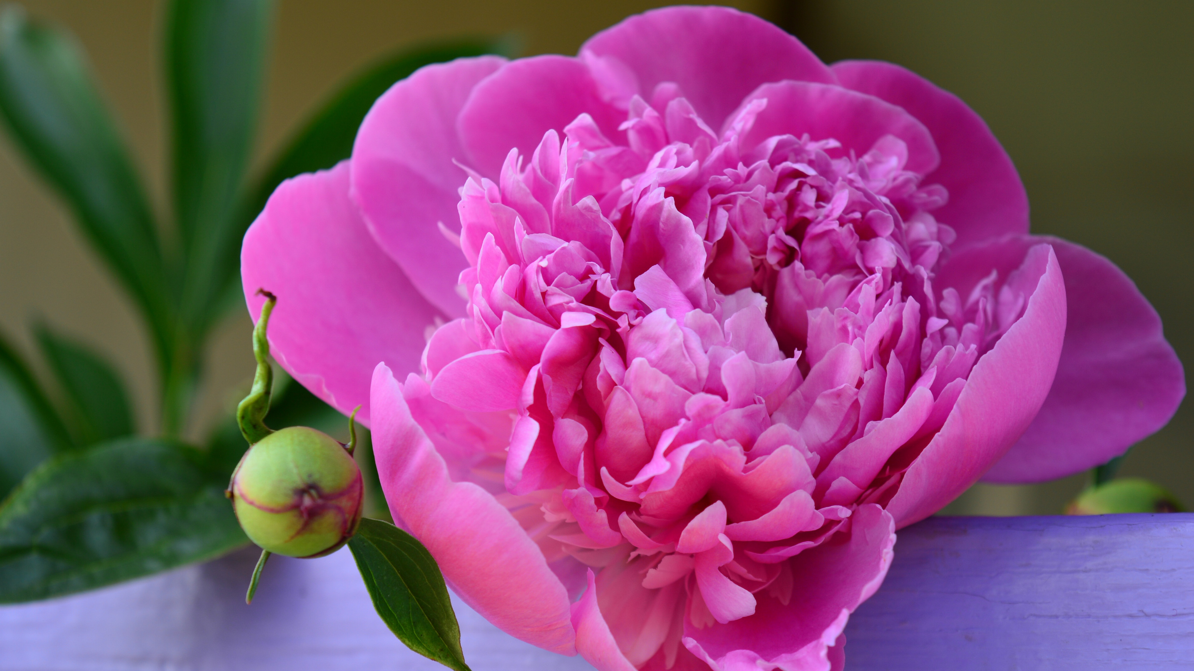 10月5日星座性格 10月5日的星座 十二星座 學習吧