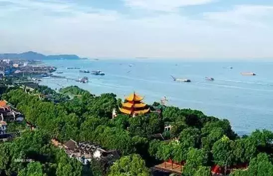 鲜！香！辣！有嚼劲~到湖南必吃的美食“常德一绝”网红酱板鸭！