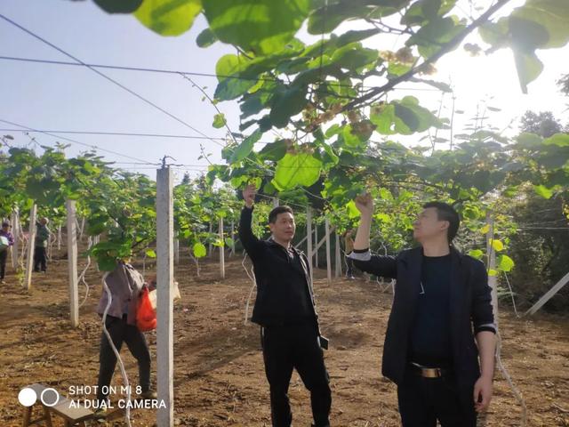 【每周警讯】平安衡阳市周报第1期（4.11——4.17）